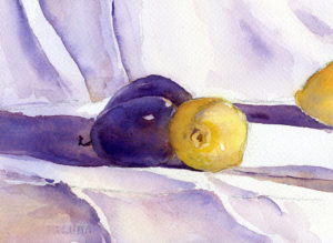 lemons and plums in a watercolor still life painting