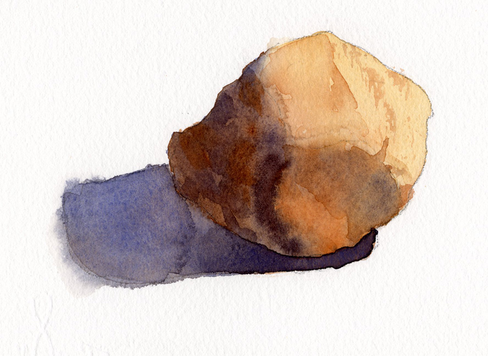 watercolor study of a rounded rock