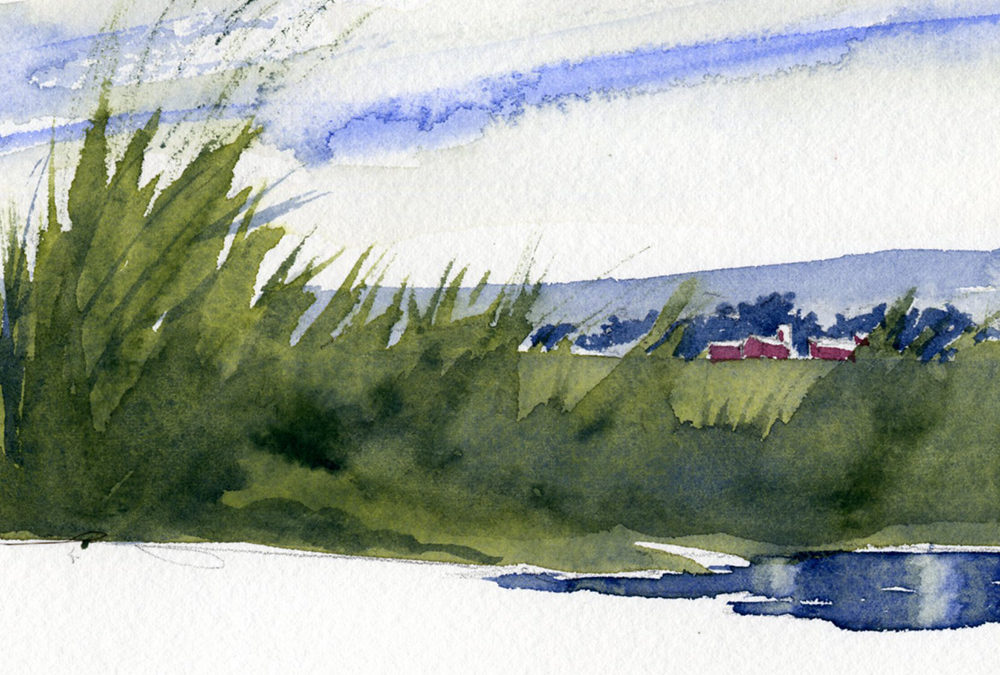 How To Paint Weeds and Tall Grass – Watercolor Painting Lesson