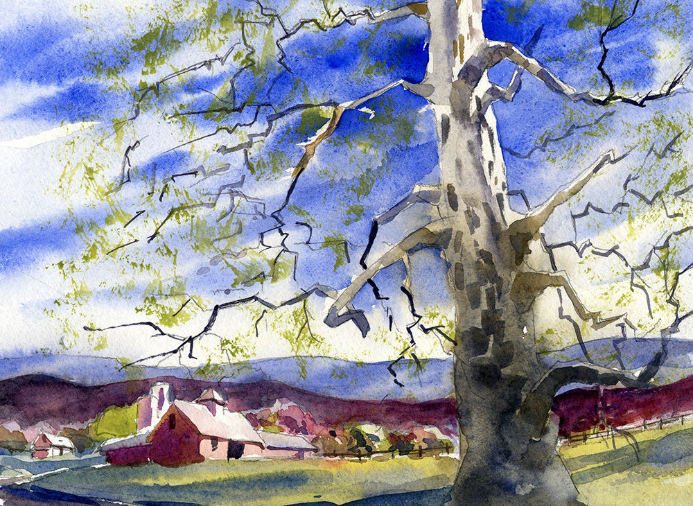 Sycamore Tree And Spring Landscape In Watercolor Watercolor Methods