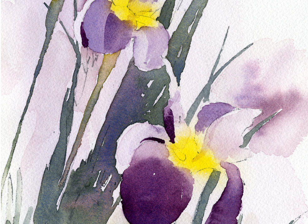 Irises In Vignette Painting Lesson - Watercolor Methods