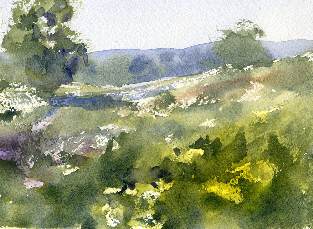 watercolor field of flowers