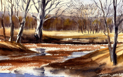 Paint The Early Spring Landscape