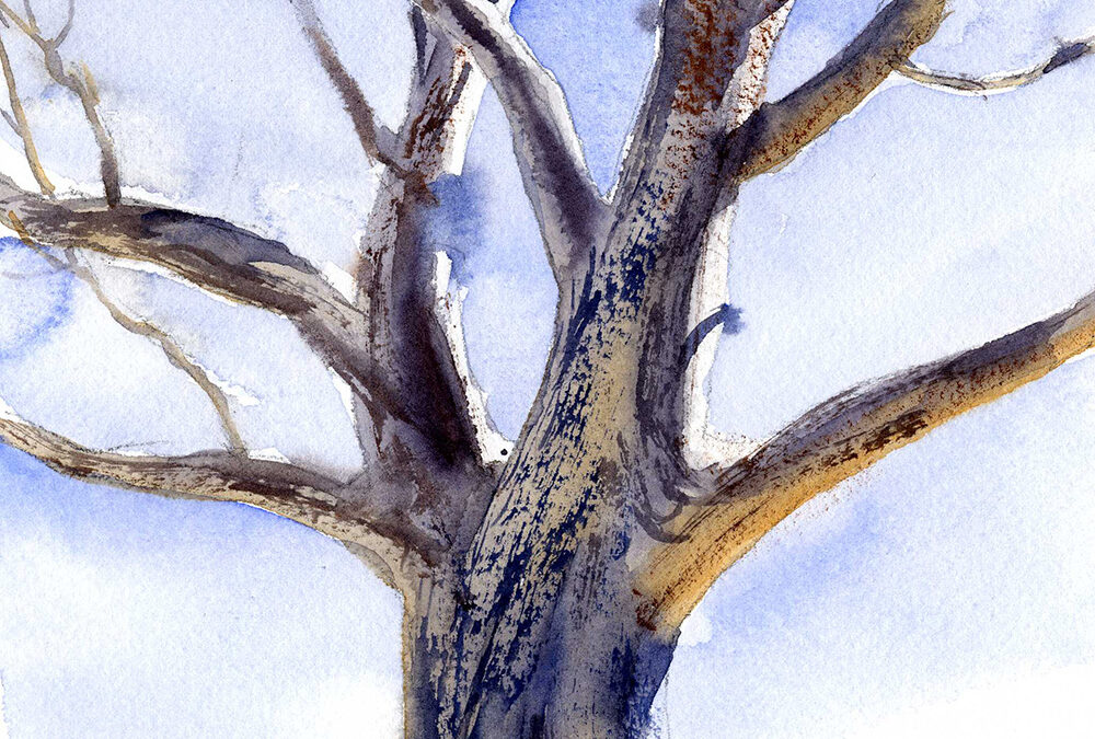 Showing Light and Form On A Simple Tree