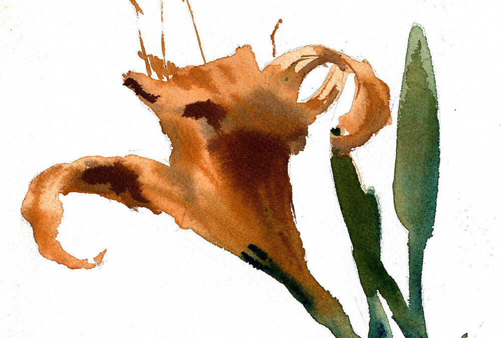 Day Lily Quick Watercolor Sketch