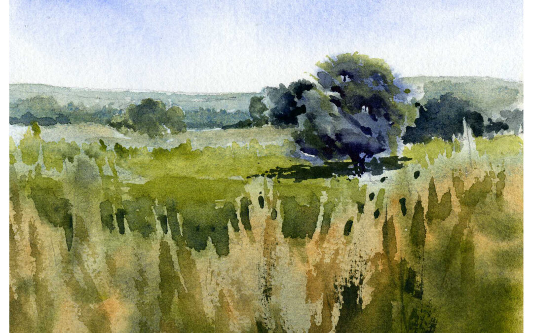 How To Paint Layered Foliage In Watercolor
