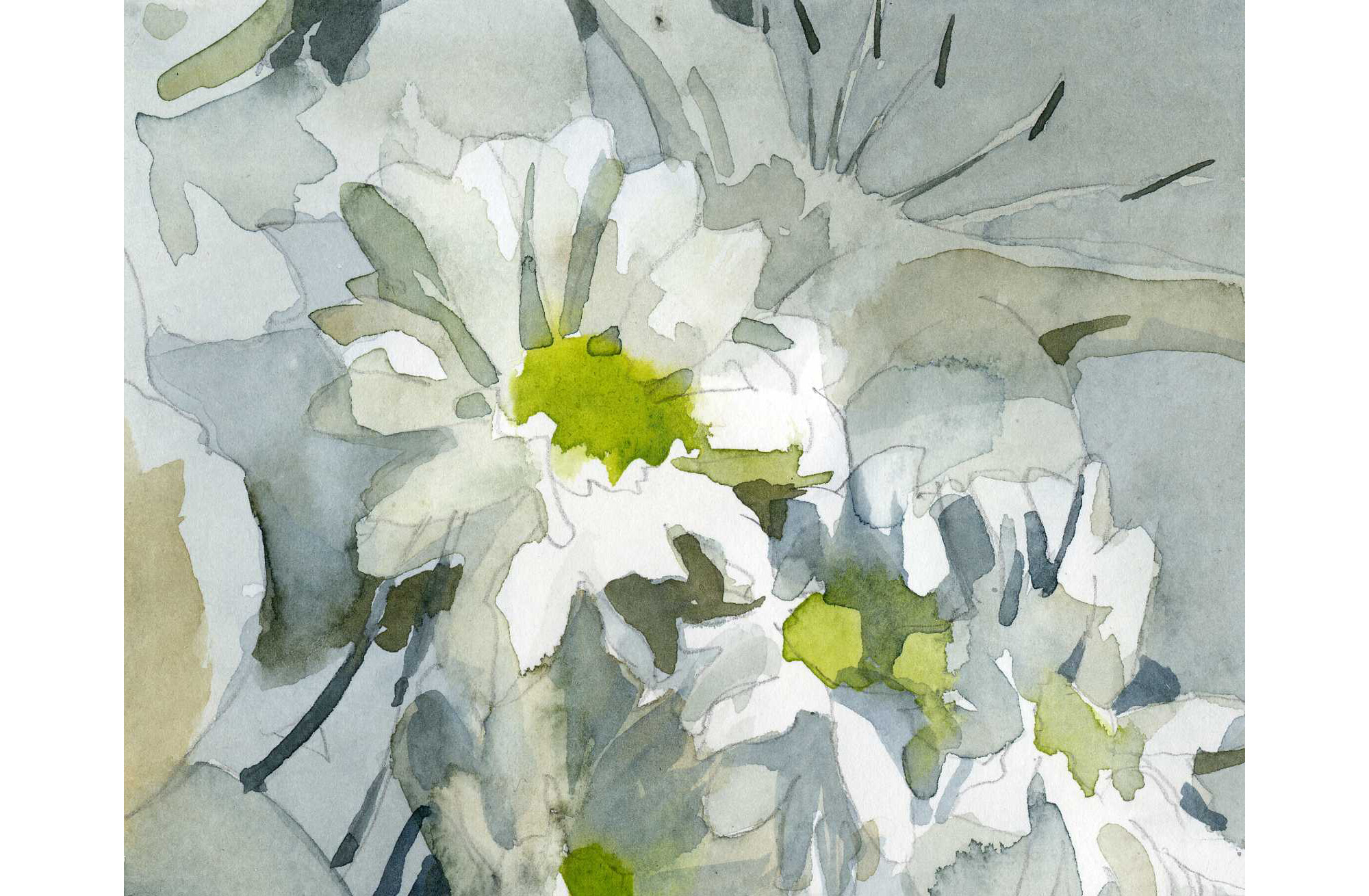watercolor vignette painting of irises